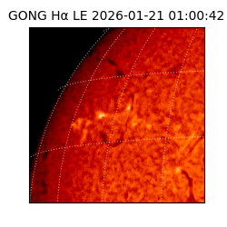 gong - 2026-01-21T01:00:42