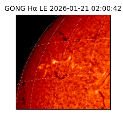gong - 2026-01-21T02:00:42