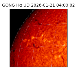 gong - 2026-01-21T04:00:02
