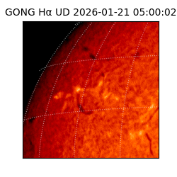 gong - 2026-01-21T05:00:02