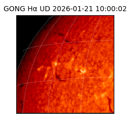 gong - 2026-01-21T10:00:02