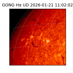 gong - 2026-01-21T11:02:02
