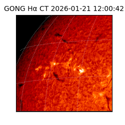 gong - 2026-01-21T12:00:42