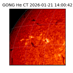gong - 2026-01-21T14:00:42
