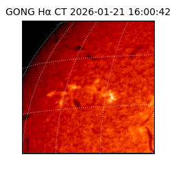 gong - 2026-01-21T16:00:42