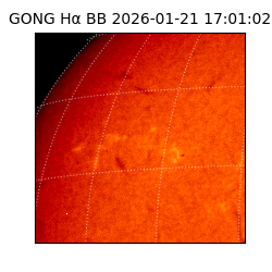gong - 2026-01-21T17:01:02