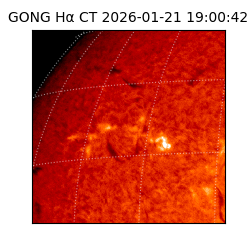 gong - 2026-01-21T19:00:42