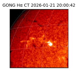 gong - 2026-01-21T20:00:42