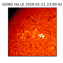 gong - 2026-01-21T23:00:42