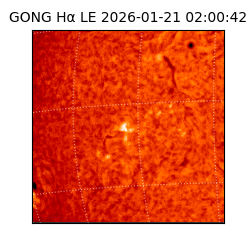 gong - 2026-01-21T02:00:42