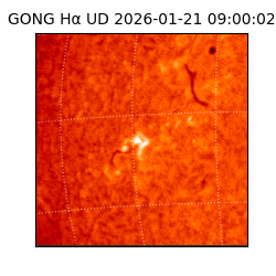 gong - 2026-01-21T09:00:02