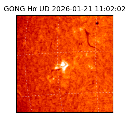 gong - 2026-01-21T11:02:02