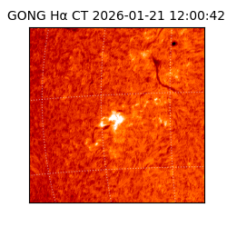 gong - 2026-01-21T12:00:42