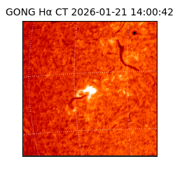 gong - 2026-01-21T14:00:42