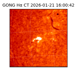 gong - 2026-01-21T16:00:42