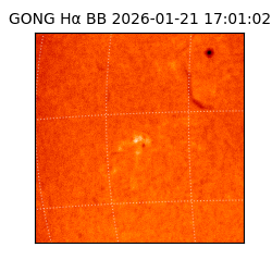 gong - 2026-01-21T17:01:02