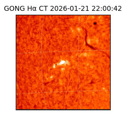 gong - 2026-01-21T22:00:42