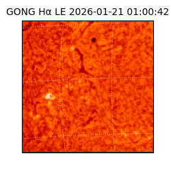 gong - 2026-01-21T01:00:42