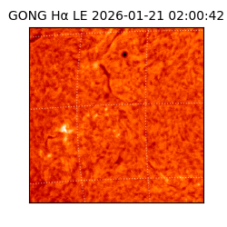 gong - 2026-01-21T02:00:42