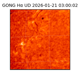 gong - 2026-01-21T03:00:02