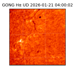 gong - 2026-01-21T04:00:02