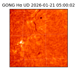 gong - 2026-01-21T05:00:02