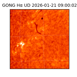 gong - 2026-01-21T09:00:02