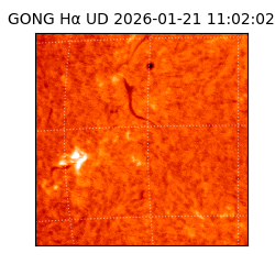 gong - 2026-01-21T11:02:02