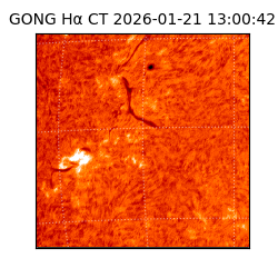 gong - 2026-01-21T13:00:42