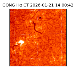 gong - 2026-01-21T14:00:42