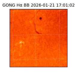 gong - 2026-01-21T17:01:02