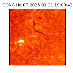 gong - 2026-01-21T19:00:42