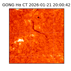 gong - 2026-01-21T20:00:42