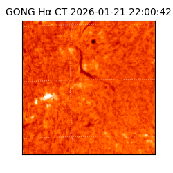 gong - 2026-01-21T22:00:42