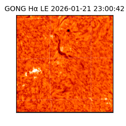 gong - 2026-01-21T23:00:42