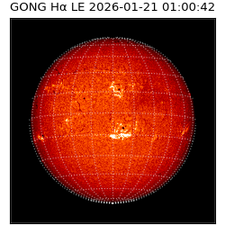 gong - 2026-01-21T01:00:42