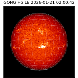gong - 2026-01-21T02:00:42