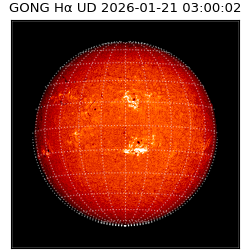 gong - 2026-01-21T03:00:02