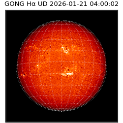 gong - 2026-01-21T04:00:02