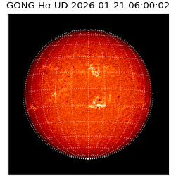 gong - 2026-01-21T06:00:02