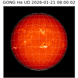 gong - 2026-01-21T08:00:02