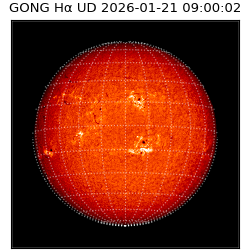 gong - 2026-01-21T09:00:02