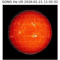 gong - 2026-01-21T11:02:02
