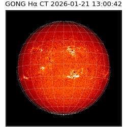 gong - 2026-01-21T13:00:42