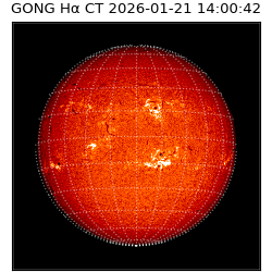 gong - 2026-01-21T14:00:42