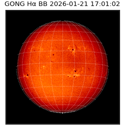 gong - 2026-01-21T17:01:02