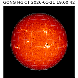 gong - 2026-01-21T19:00:42