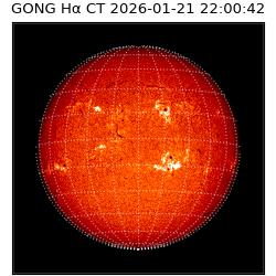 gong - 2026-01-21T22:00:42