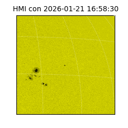 shmi - 2026-01-21T16:58:30