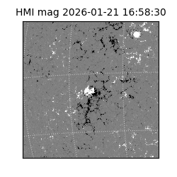 shmi - 2026-01-21T16:58:30